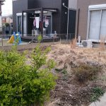 image-1466204029058-