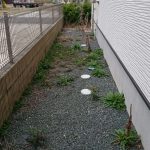 image-1466204031610-