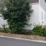 image-1466204034021-