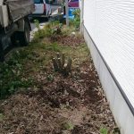 image-1466204046855-