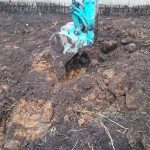 image-1466204051470-