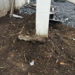 image-1466204058986-