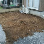 image-1466204074349-