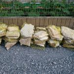 image-1466204085458-