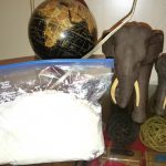 DSC_0001_1469611660170