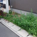 DSC_0001_1470356990353