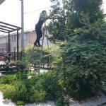 DSC_0003_1470356988160