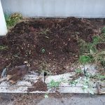 DSC_0004_1470356989962