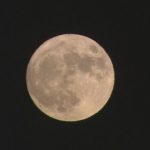 k10010768461_1611141809_1611141814_01_02